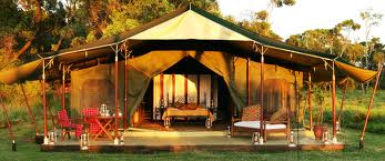 Service Provider of Tent Accommodation Jaipur Rajasthan 